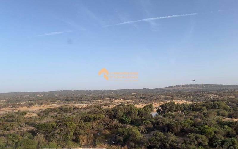 Appartement 3 chambres (6)